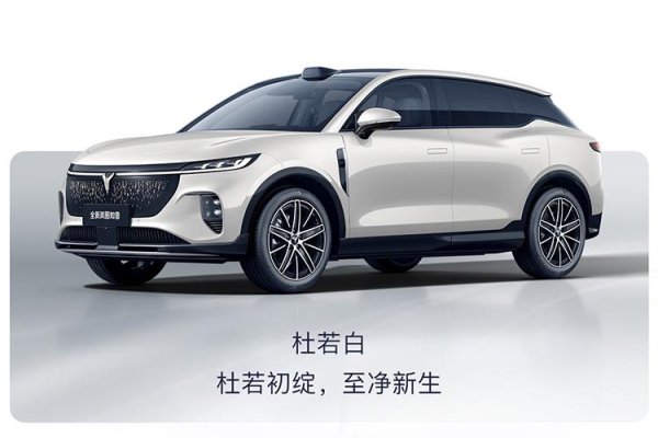 弘利配资 全新岚图知音四色官图发布，你中意哪款配色？
