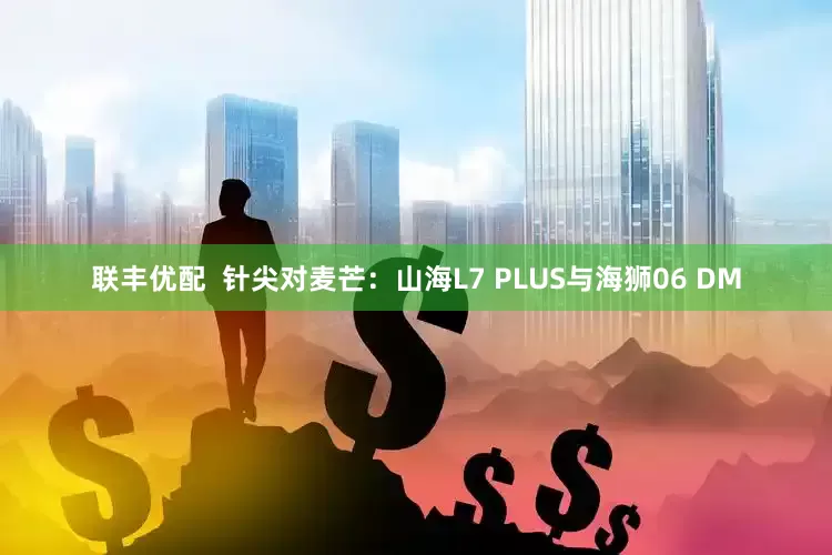 联丰优配  针尖对麦芒：山海L7 PLUS与海狮06 DM