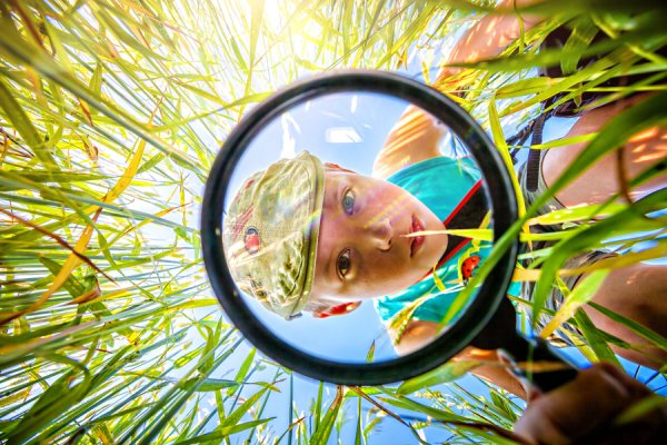 星速优配 英国中小学每年6次教育旅行，是“高消费陷阱”还是积累改变人生的资源？