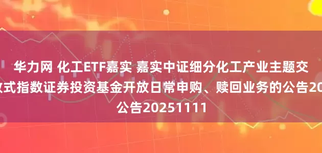 华力网 化工ETF嘉实 嘉实中证细分化工产业主题交易型开放式指数证券投资基金开放日常申购、赎回业务的公告20251111